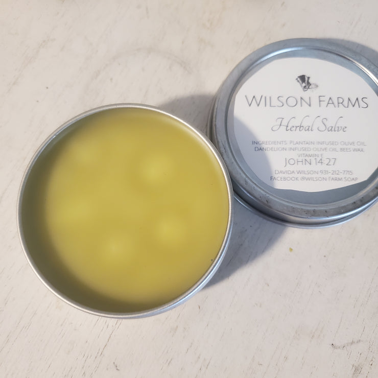 Herbal Salve 2oz